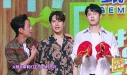 东北小王子被爆料视频大全,揭秘网络红人背后的故事